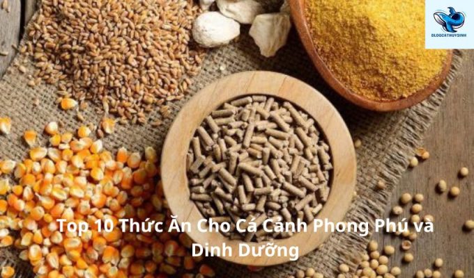 Top 10 Thức Ăn Cho Cá Cảnh Phong Phú và Dinh Dưỡng