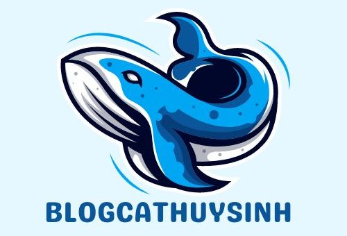 blogcathuysinh.com