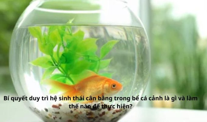 Bí quyết duy trì hệ sinh thái cân bằng trong bể cá cảnh là gì và làm thế nào để thực hiện?